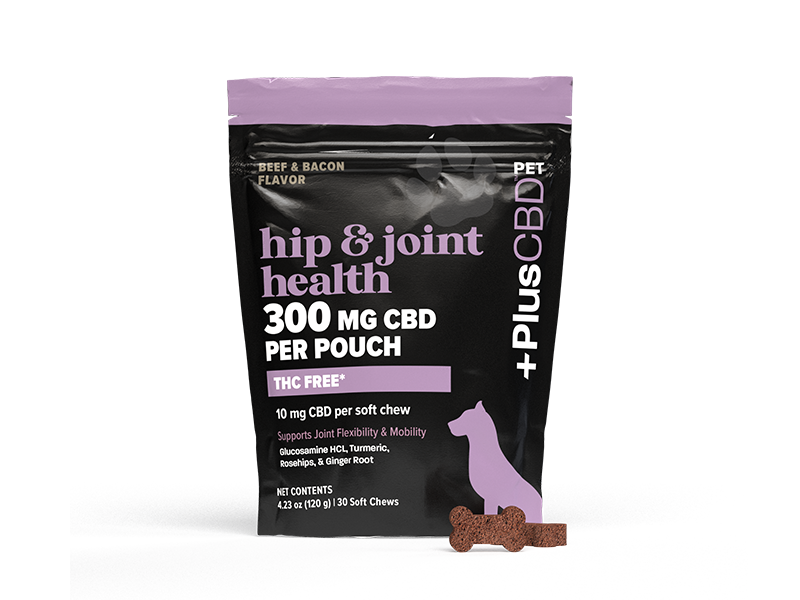 CBD for Dogs: Benefits, Safety Tips, and How to Use It Effectively